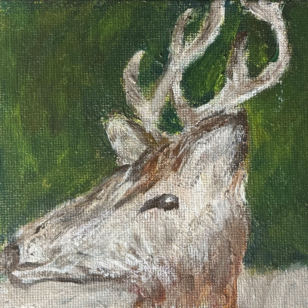 07/40 Richmond Deer, Acrylics on Canvas Framed - Preorder Now